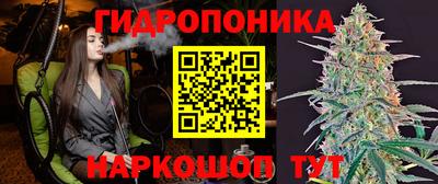 прущие грибы Бугуруслан